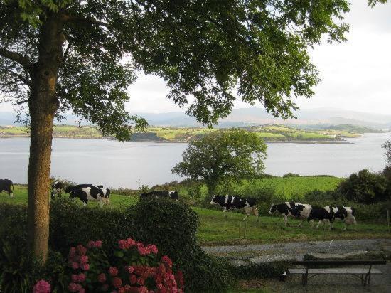 Bed and Breakfast Dromcloc House Bantry Exteriér fotografie